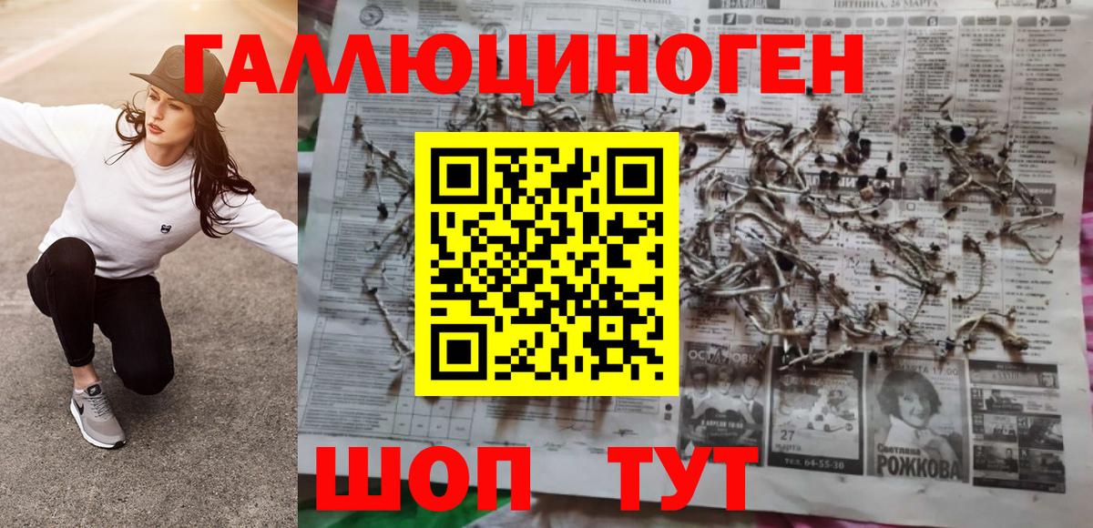 Новоалтайск  Галлюциногенные грибы GOLDEN TEACHER  Вход с VPN  как найти закладки  Галлюциногенные грибы Psilocybine cubensis 